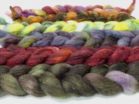 Dyers Half-Dozen- Corriedale, 6 co-ordinating mini braids, Hand Dyed Wool, 360g