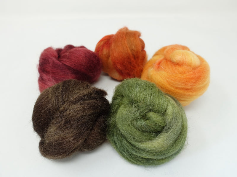 Sock Fibre, Superwash Cheviot, Silk & Bio-Nylon. Mixed Colour Pack. Staunch- 100g