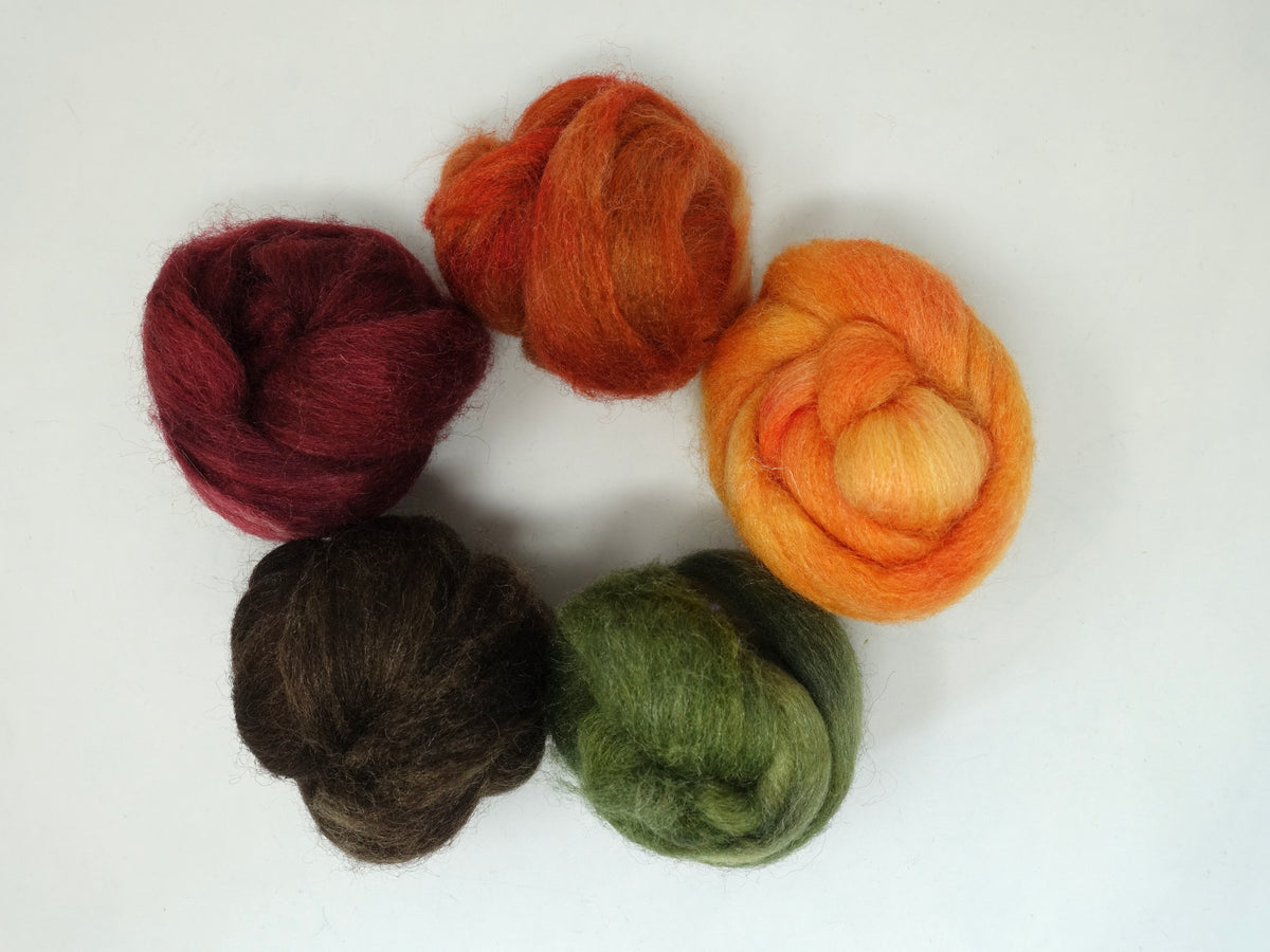 Sock Fibre, Superwash Cheviot, Silk & Bio-Nylon. Mixed Colour Pack. Staunch- 100g