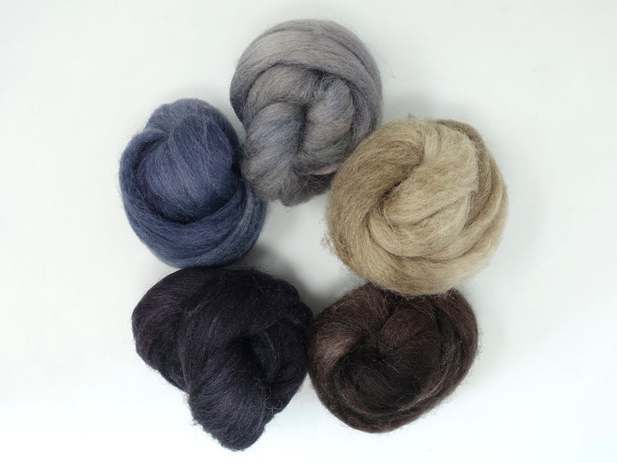 Sock Fibre, Superwash Cheviot, Silk & Bio-Nylon. Mixed Colour Pack. Steadfast- 100g