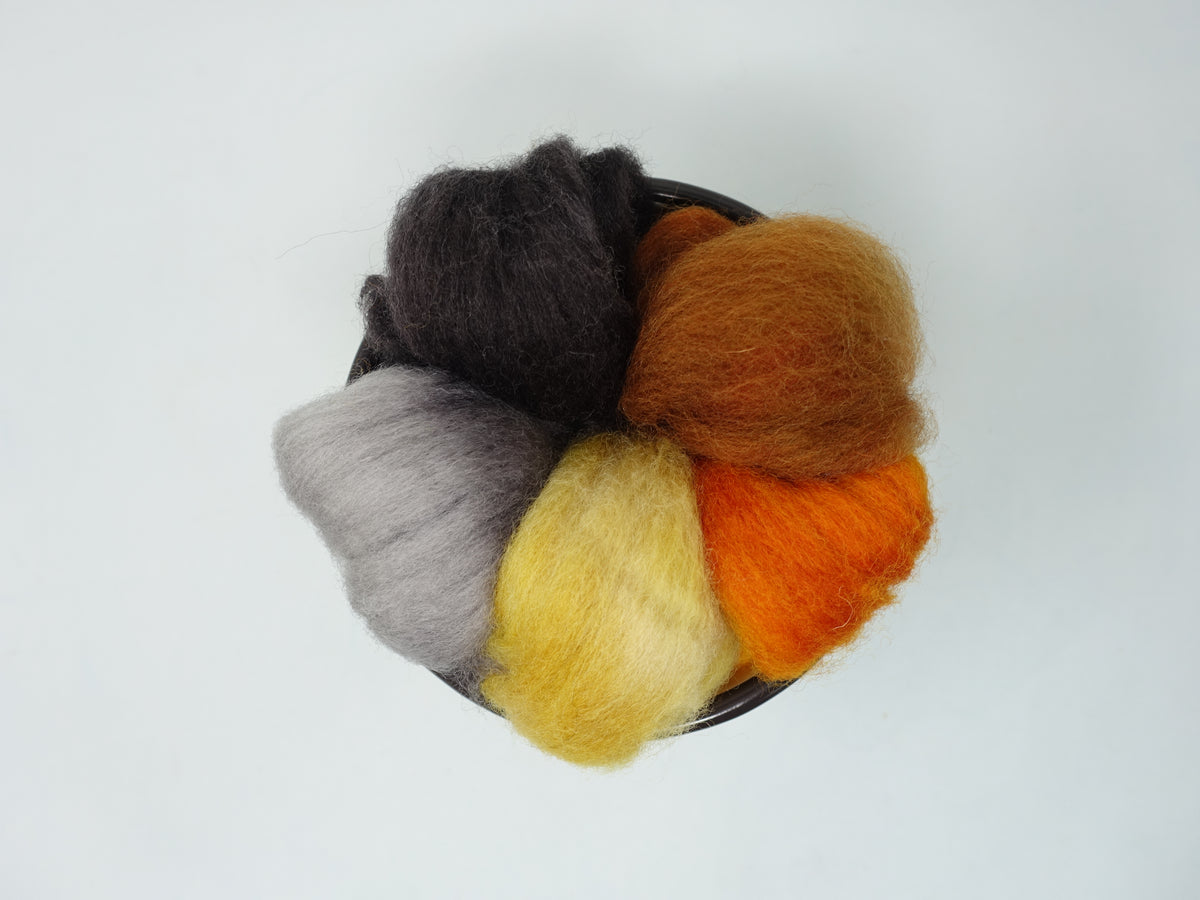 Seasonal Changes Collection- October 2024 Spiced Pumpkin - 100g Cambrian (Welsh x BFL) Wool (Copy)