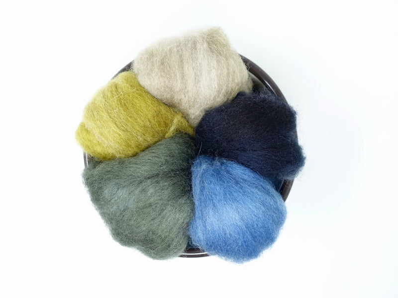 Seasonal Changes Collection-February 2025 Frosted Rosemary - 100g Cambrian (Welsh x BFL) Wool