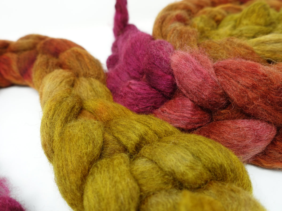 BFL & Baby Camel. Hand Dyed Gradient 100g