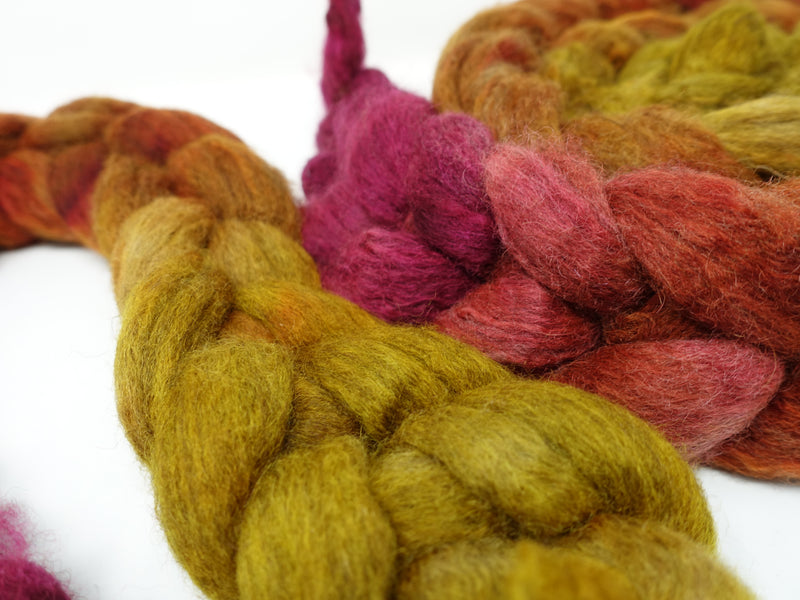 BFL & Baby Camel. Hand Dyed Gradient 100g