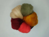 Seasonal Changes Collection- July 2025 Poppy Fields - 100g Cambrian (Welsh x BFL) Wool