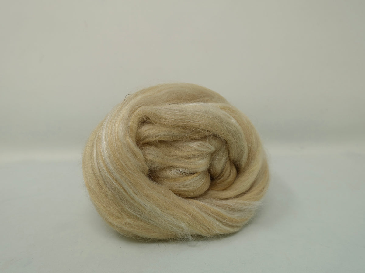 Caerdydd- Superfine Merino & Tussah Silk- Tour de Fleece. 50g (DHG)