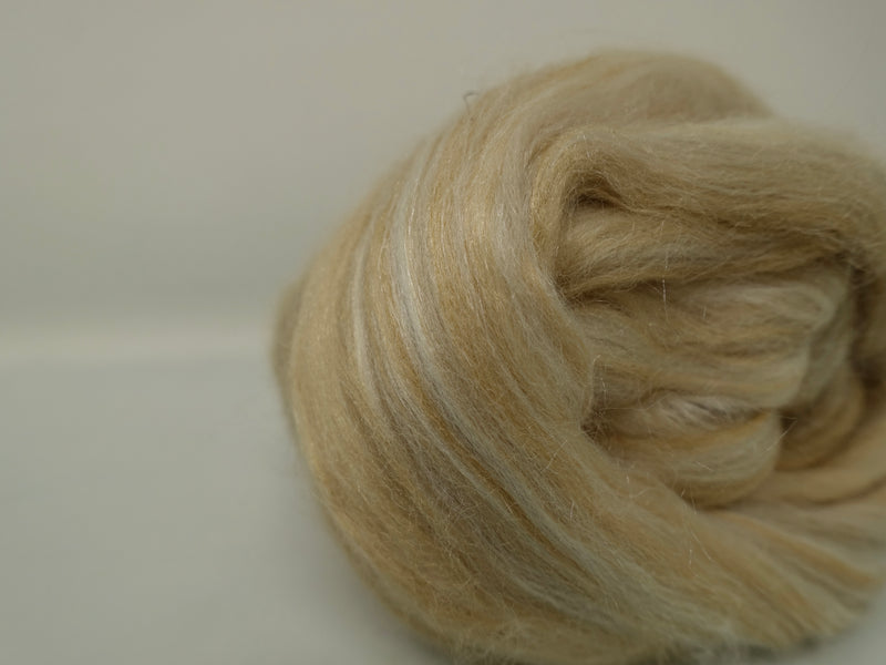 Caerdydd- Superfine Merino & Tussah Silk- Tour de Fleece. 50g (DHG)