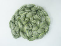 Tu Youyou, October 2025 Time Travellers Club 100g