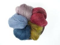 Seasonal Changes Collection- November 2025 Floating Leaves - 100g Cambrian (Welsh x BFL) Wool