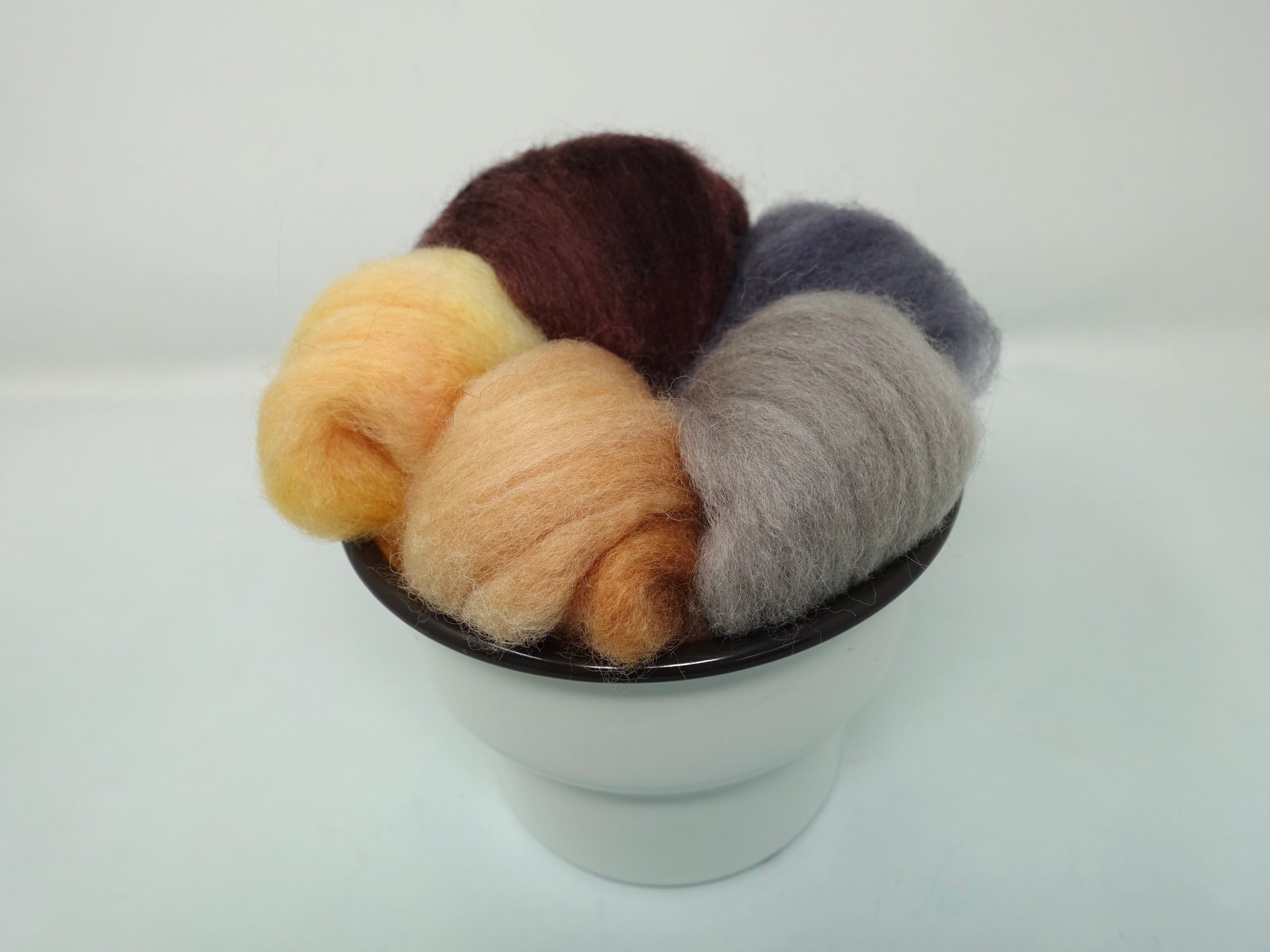 Seasonal Changes Collection- February 2026 After the Snowstorm - 100g Cambrian (Welsh x BFL) Wool