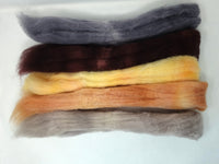 Seasonal Changes Collection- February 2026 After the Snowstorm - 100g Cambrian (Welsh x BFL) Wool