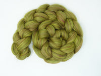 Westerdjik February 2026 Time Travellers Club 100g
