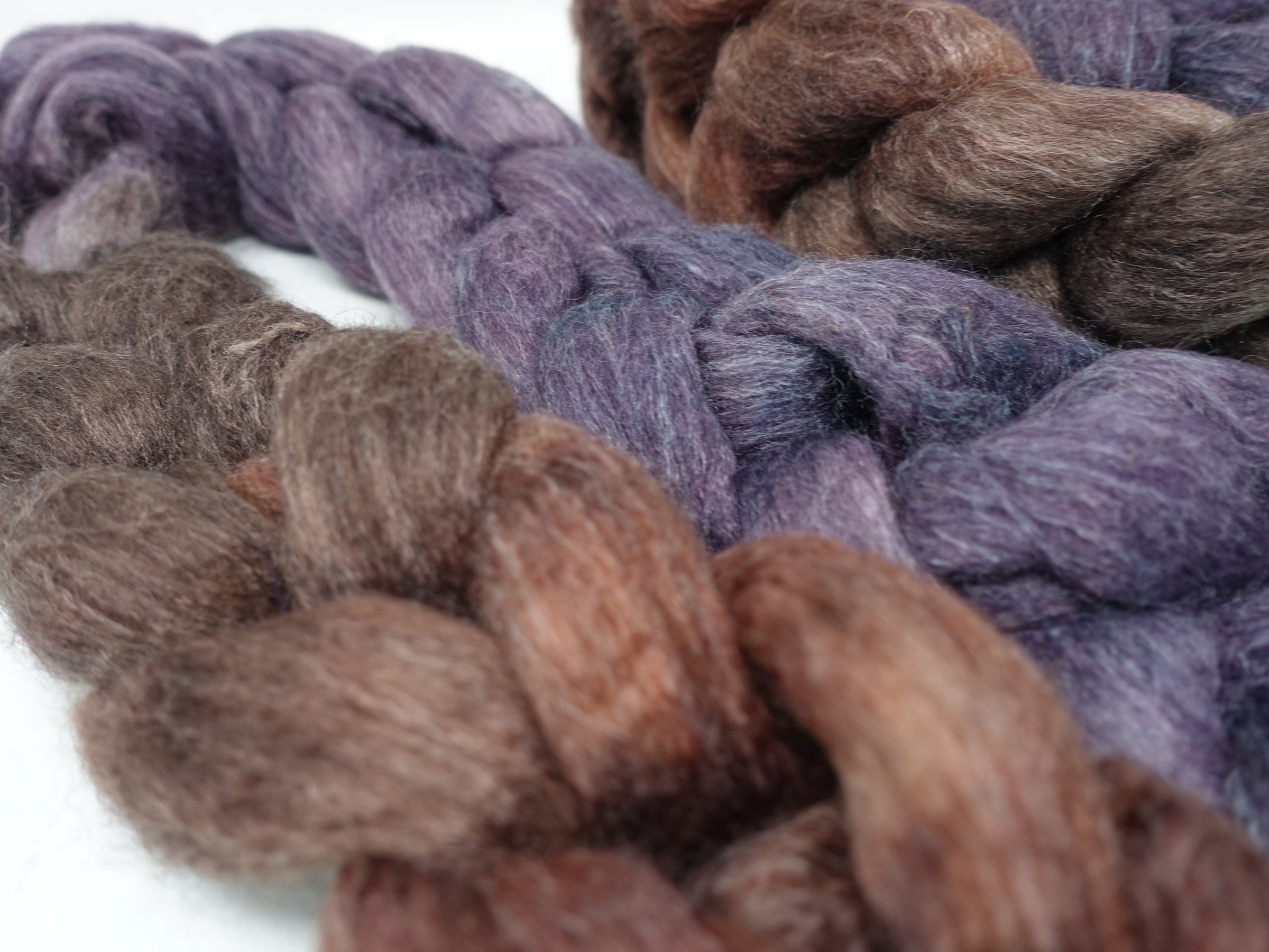 Corriedale & Lotus,  Hand Dyed Gradient. 100g