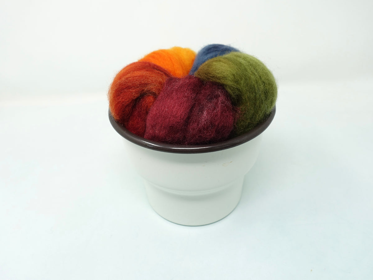 Seasonal Changes Collection- September 2026 Wine Country - 100g Cambrian (Welsh x BFL) Wool