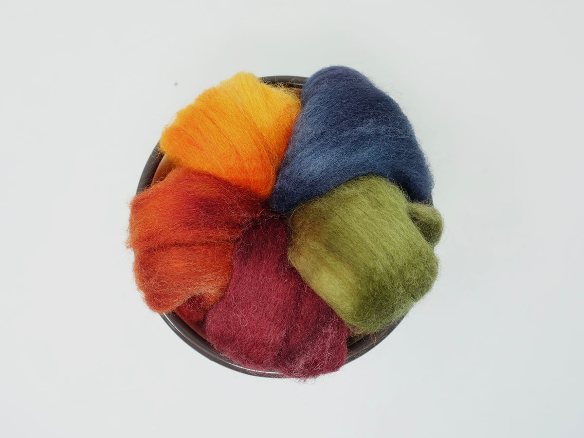 Seasonal Changes Collection- September 2026 Wine Country - 100g Cambrian (Welsh x BFL) Wool