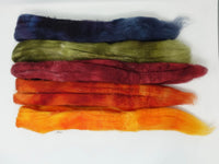 Seasonal Changes Collection- September 2026 Wine Country - 100g Cambrian (Welsh x BFL) Wool