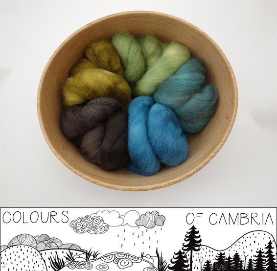 Colours of Cambria: Coast - 100g Cambrian (Welsh x BFL) Wool - Hilltop Cloud